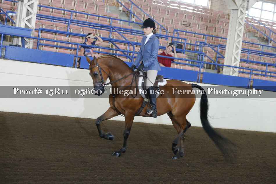 Proof 15R11_05660