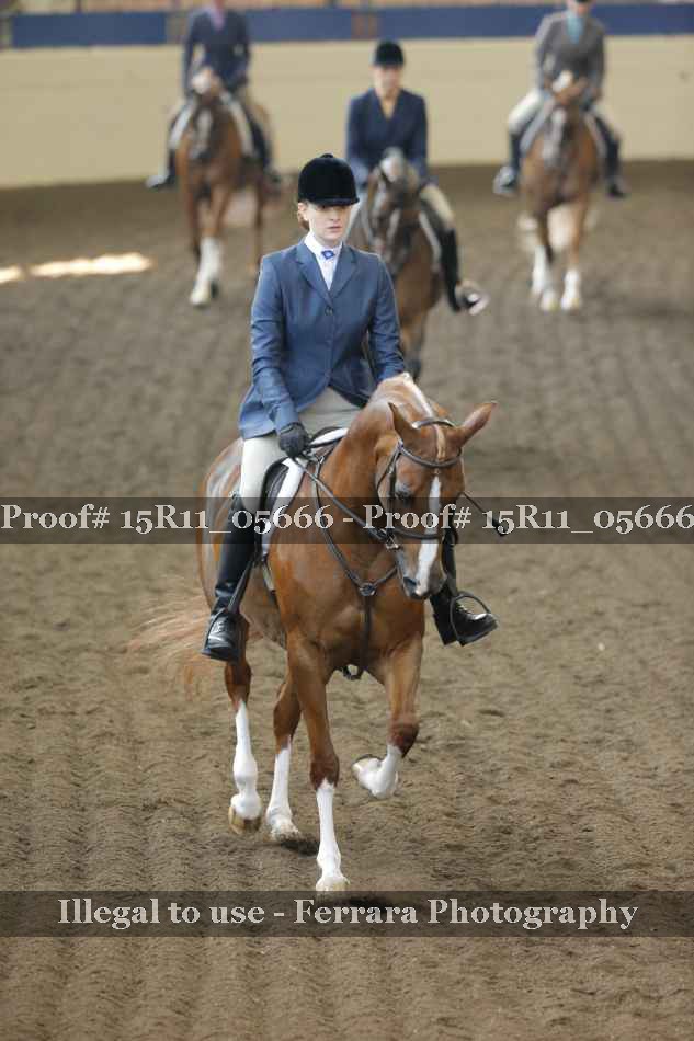 Proof 15R11_05666
