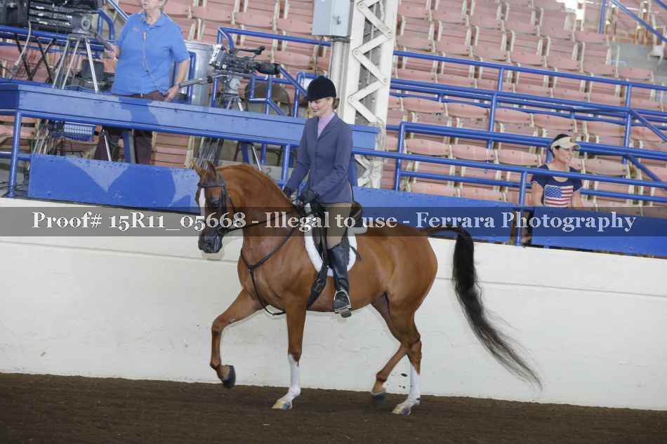 Proof 15R11_05668