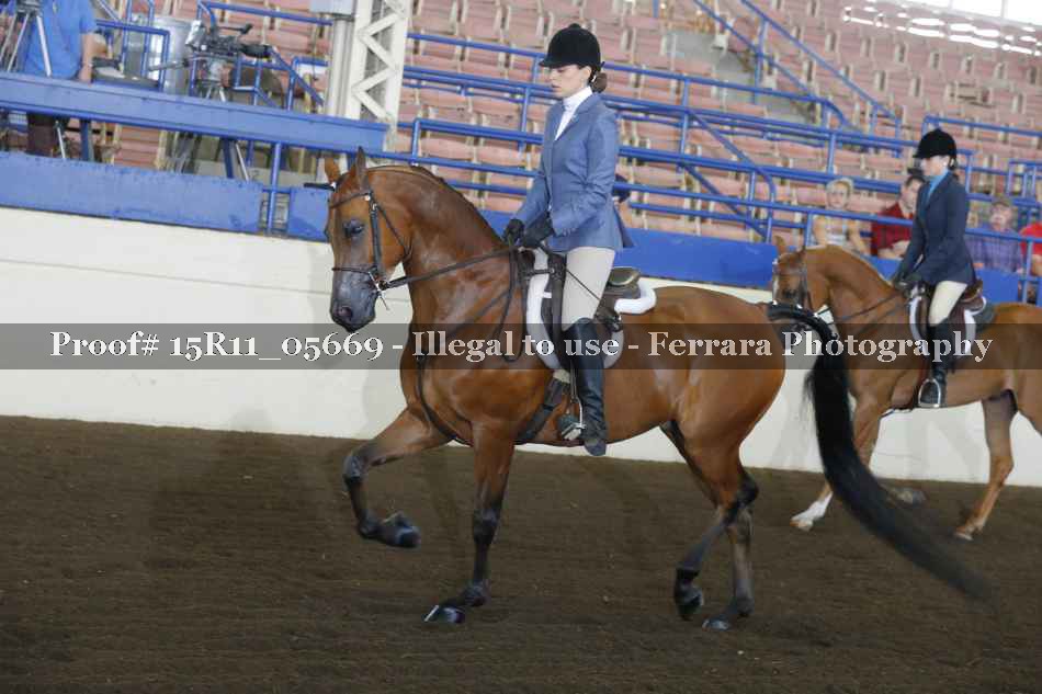 Proof 15R11_05669