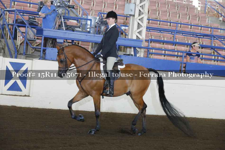 Proof 15R11_05671