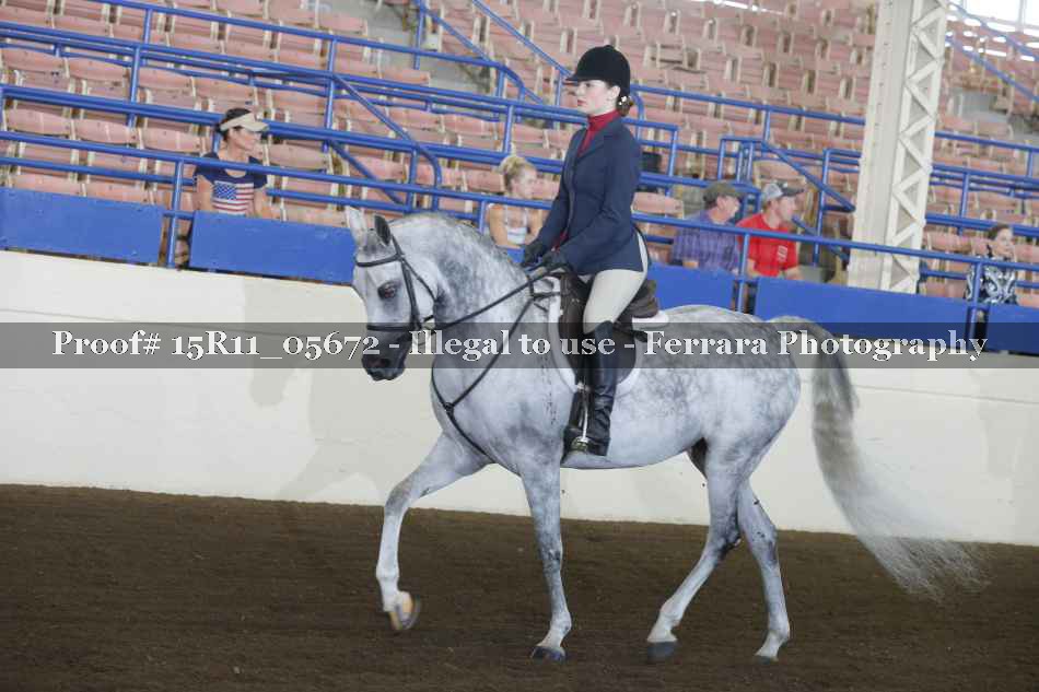 Proof 15R11_05672