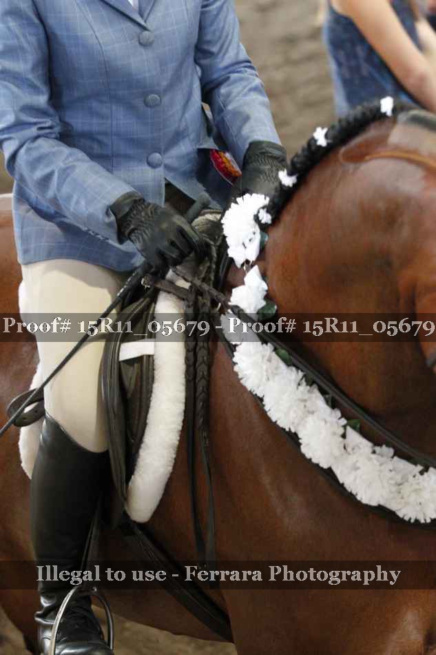 Proof 15R11_05679