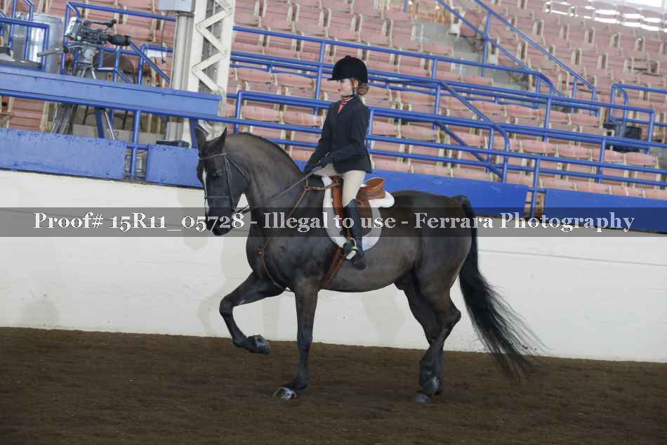 Proof 15R11_05728
