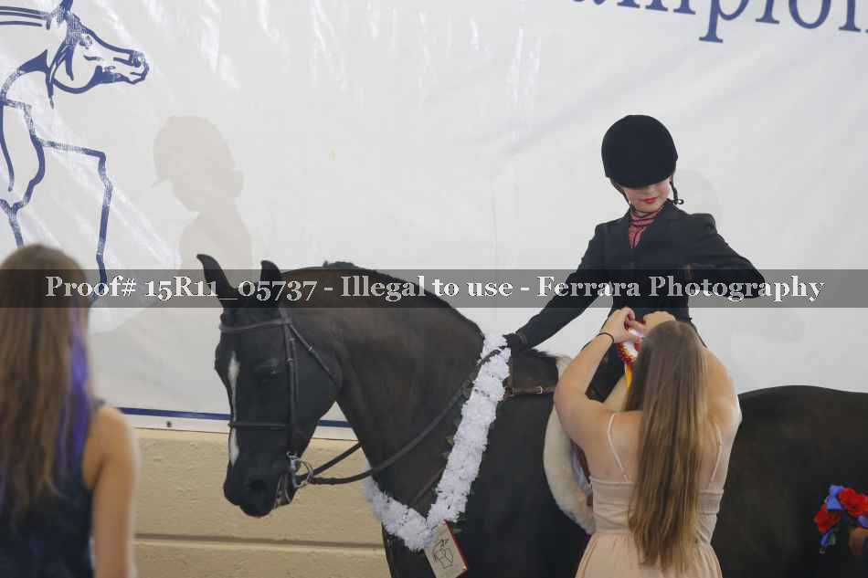 Proof 15R11_05737