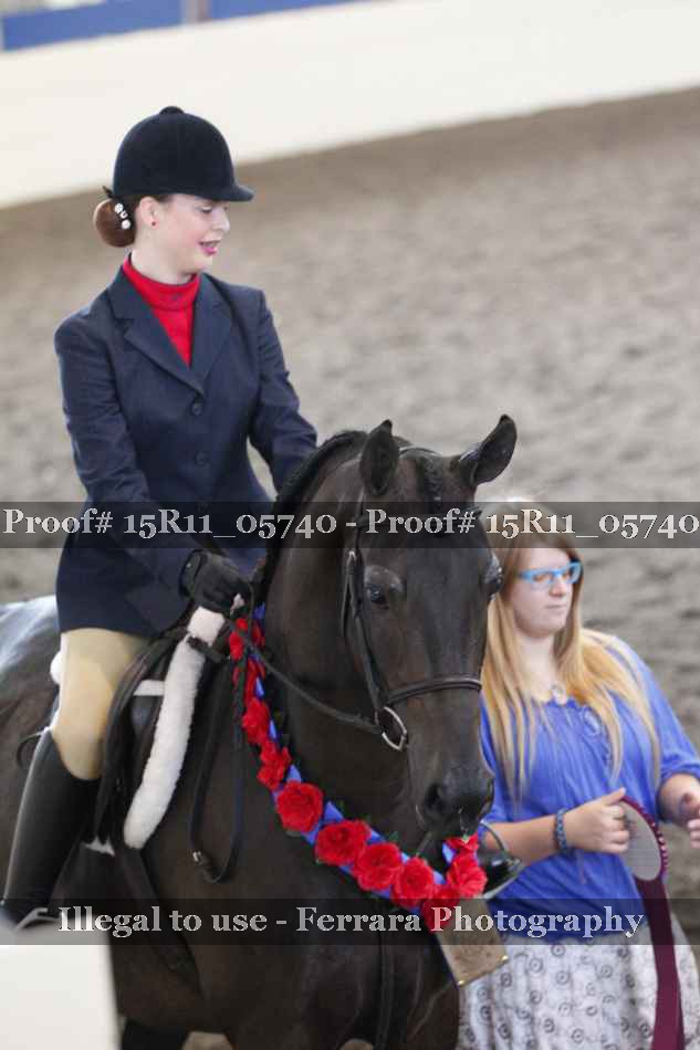 Proof 15R11_05740