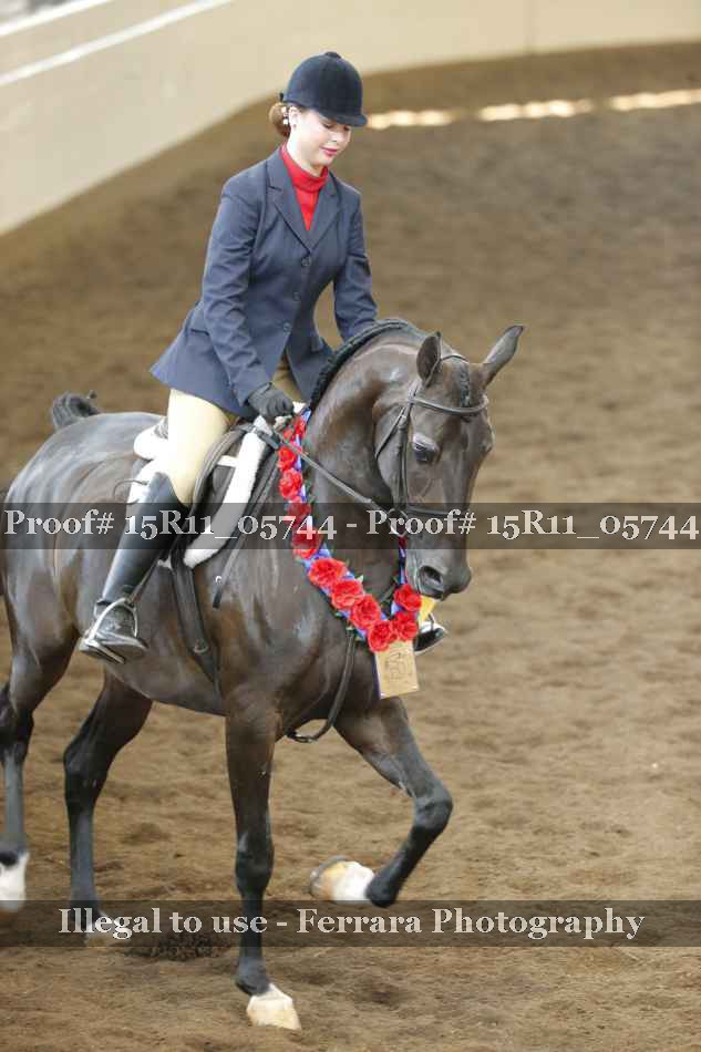 Proof 15R11_05744
