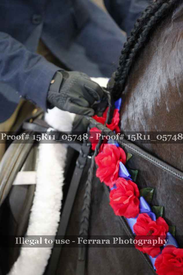 Proof 15R11_05748