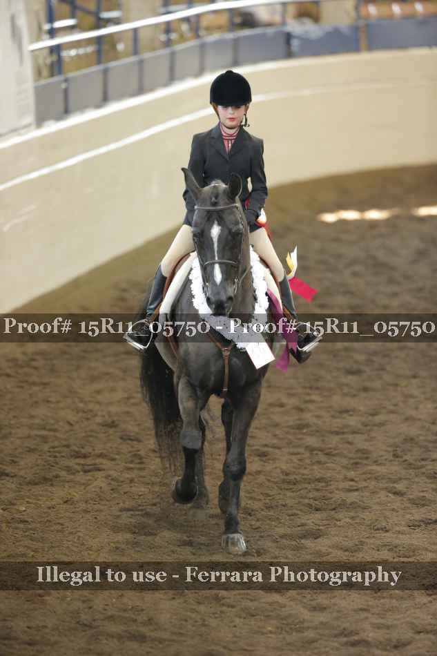 Proof 15R11_05750