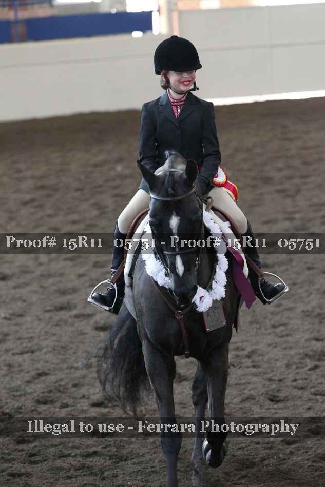 Proof 15R11_05751