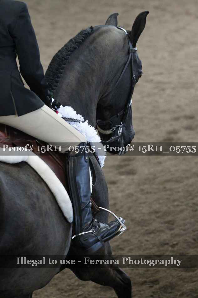 Proof 15R11_05755