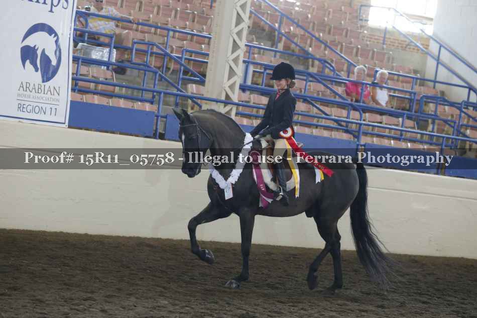 Proof 15R11_05758