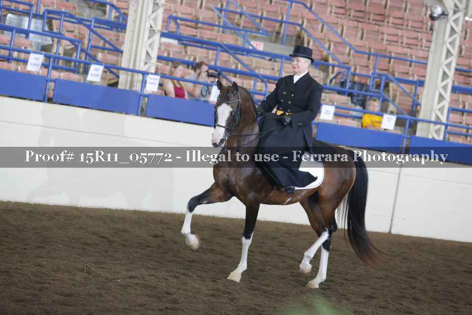 Proof 15R11_05772