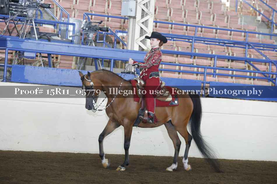 Proof 15R11_05779