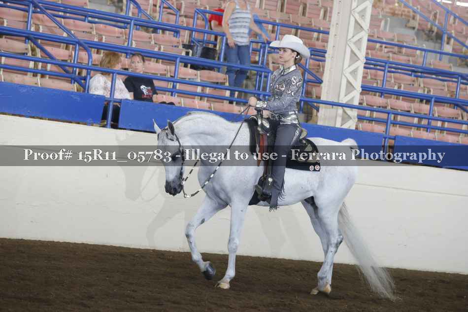 Proof 15R11_05783