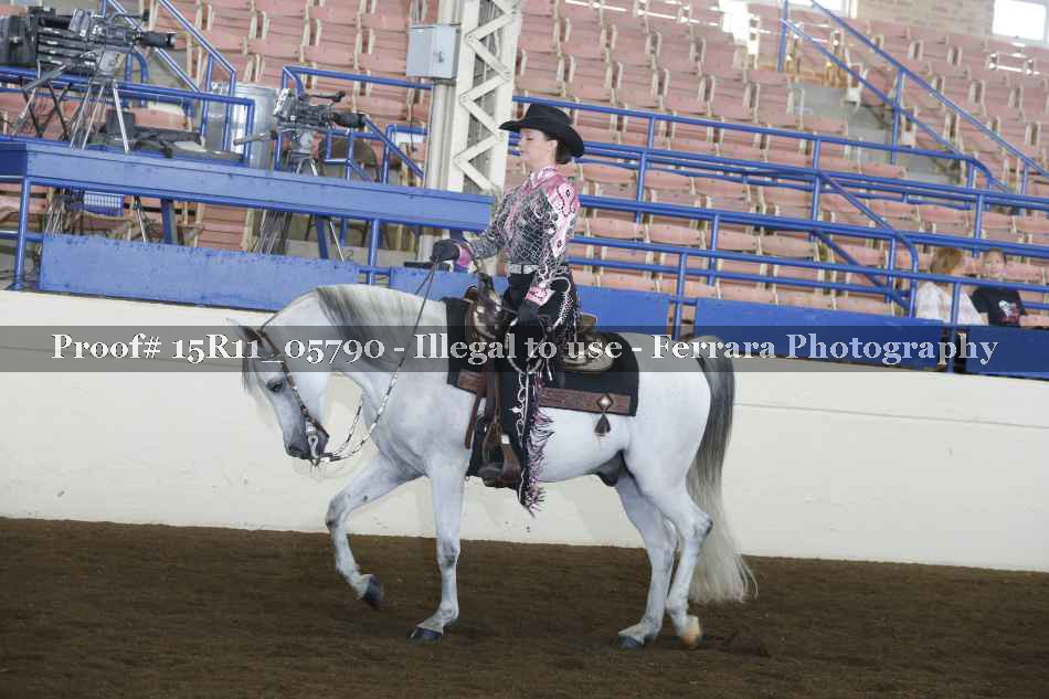 Proof 15R11_05790
