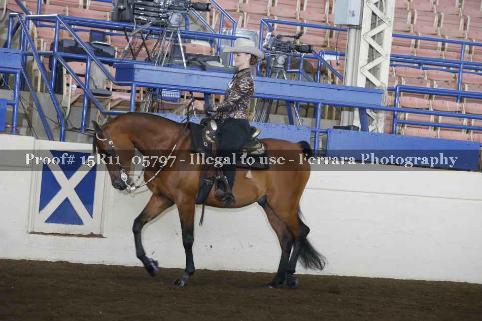 Proof 15R11_05797