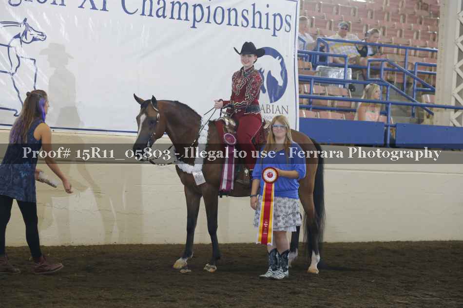 Proof 15R11_05803
