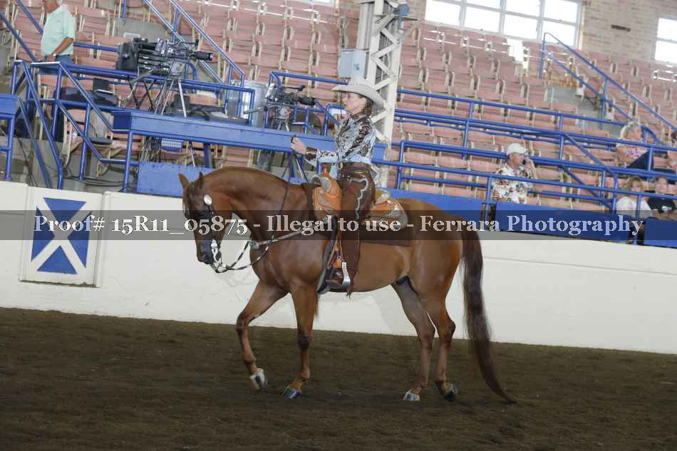 Proof 15R11_05875