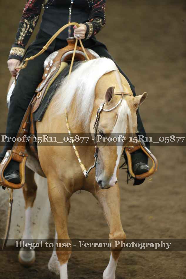 Proof 15R11_05877