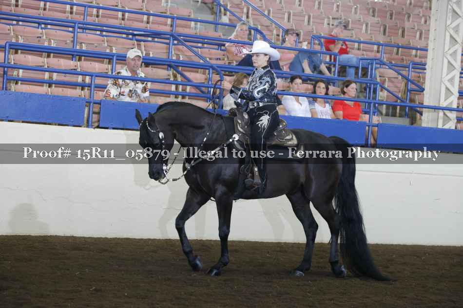 Proof 15R11_05879