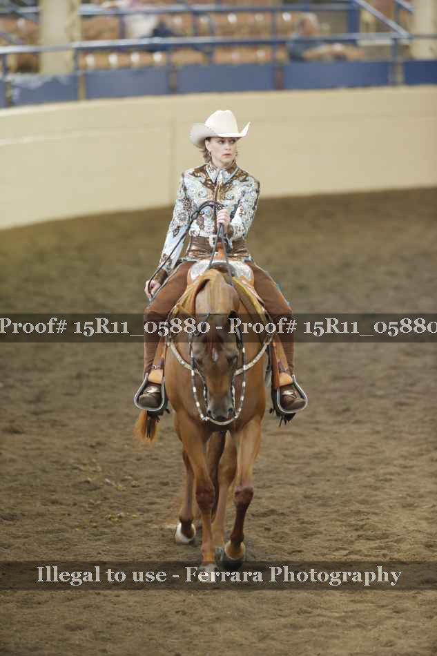 Proof 15R11_05880