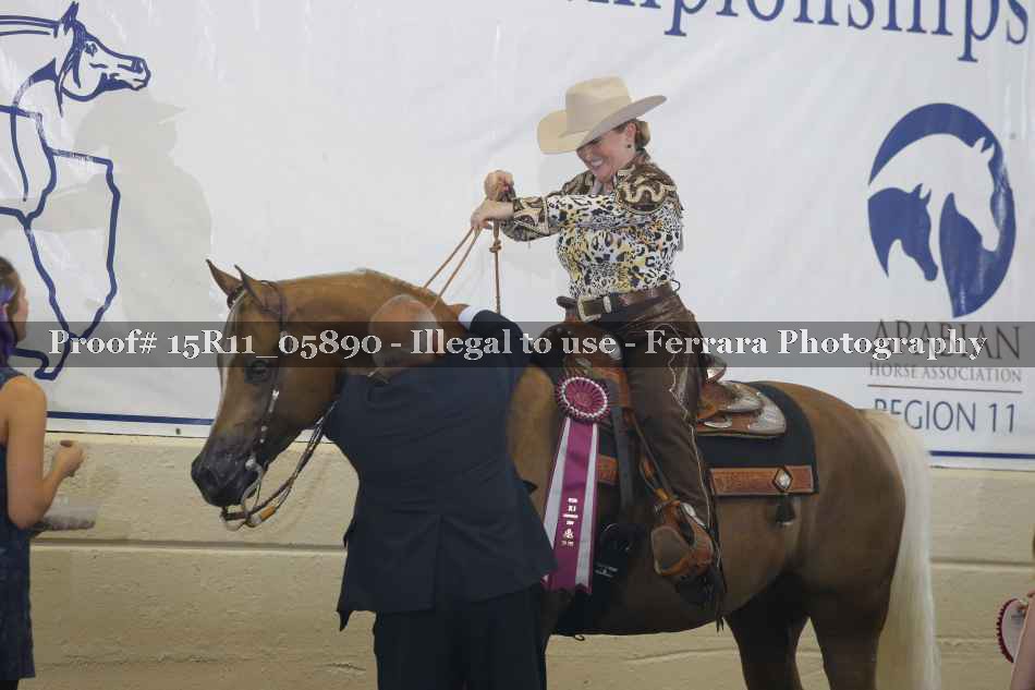 Proof 15R11_05890