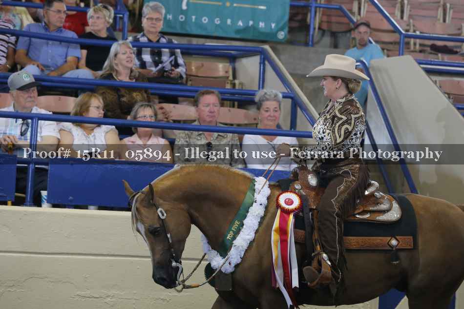 Proof 15R11_05894
