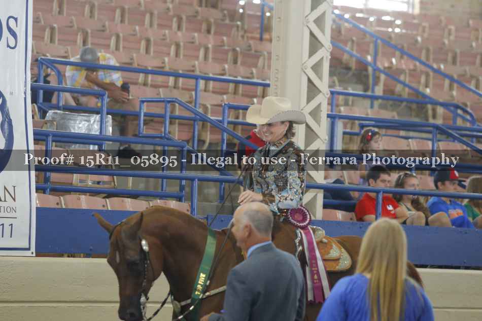 Proof 15R11_05895