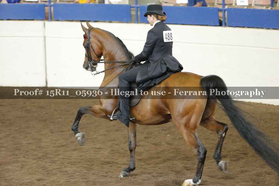 Proof 15R11_05936