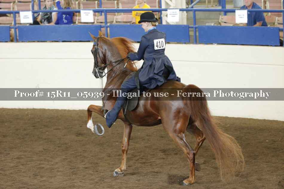 Proof 15R11_05939