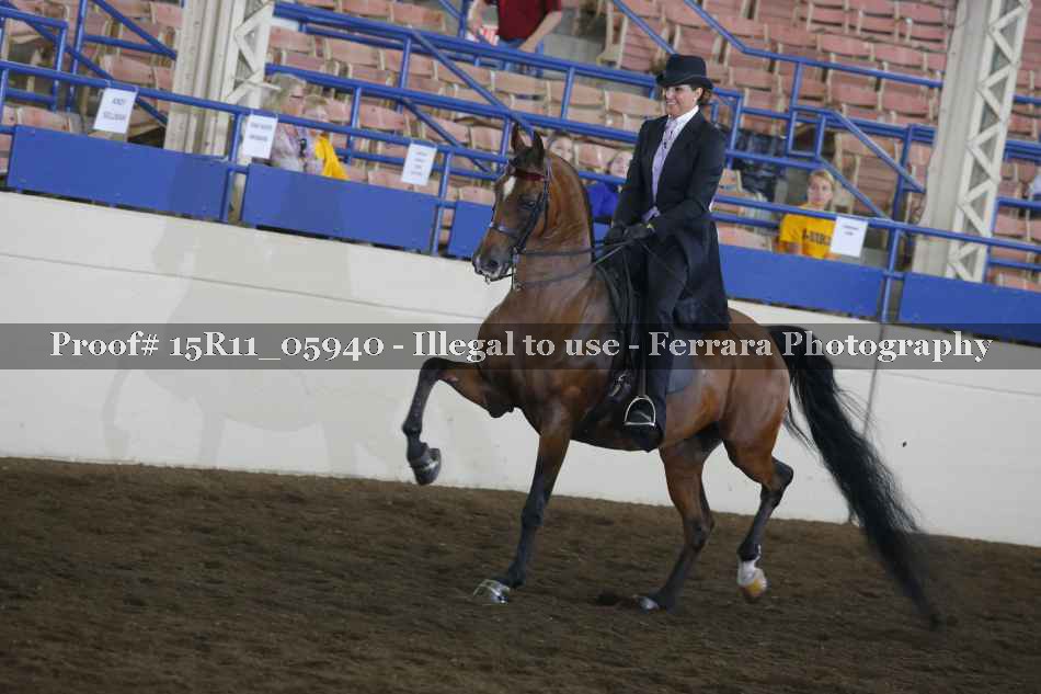 Proof 15R11_05940
