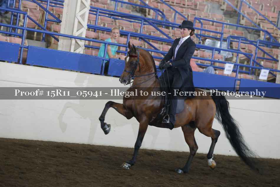 Proof 15R11_05941