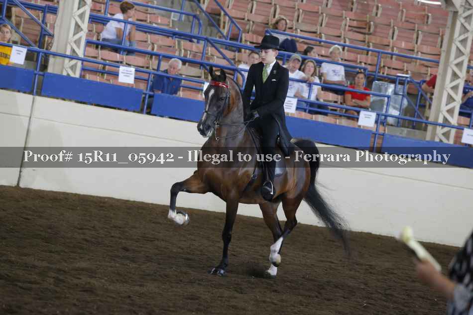 Proof 15R11_05942