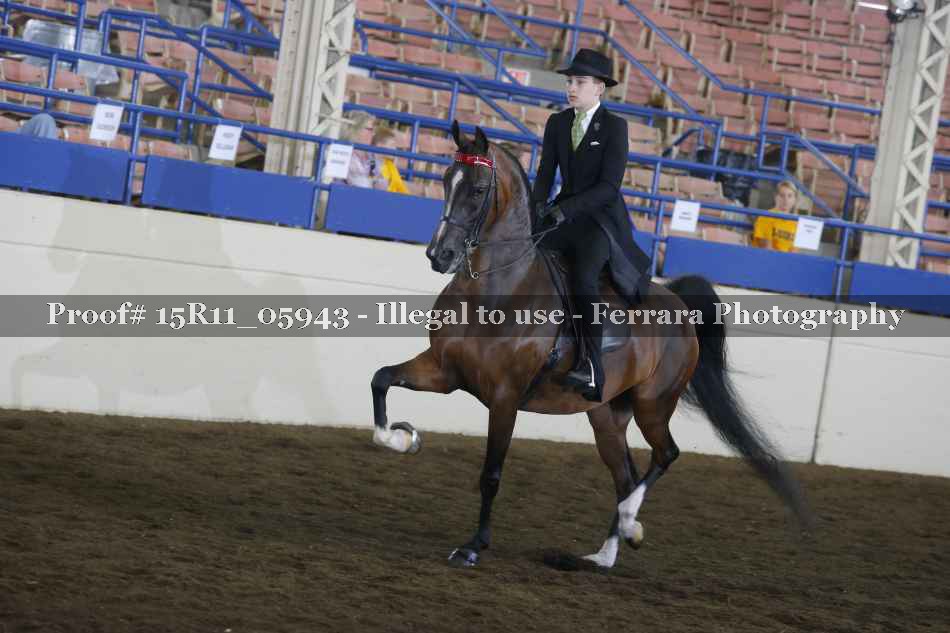 Proof 15R11_05943