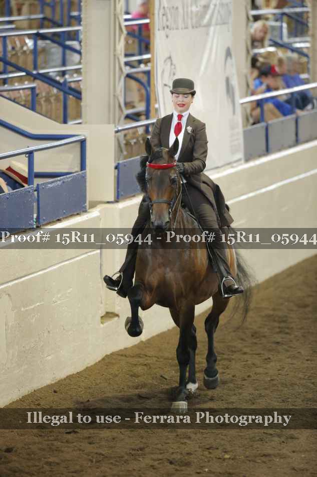 Proof 15R11_05944