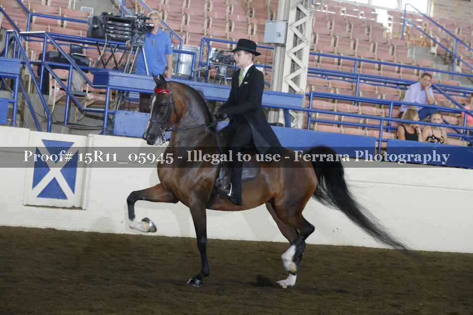 Proof 15R11_05945