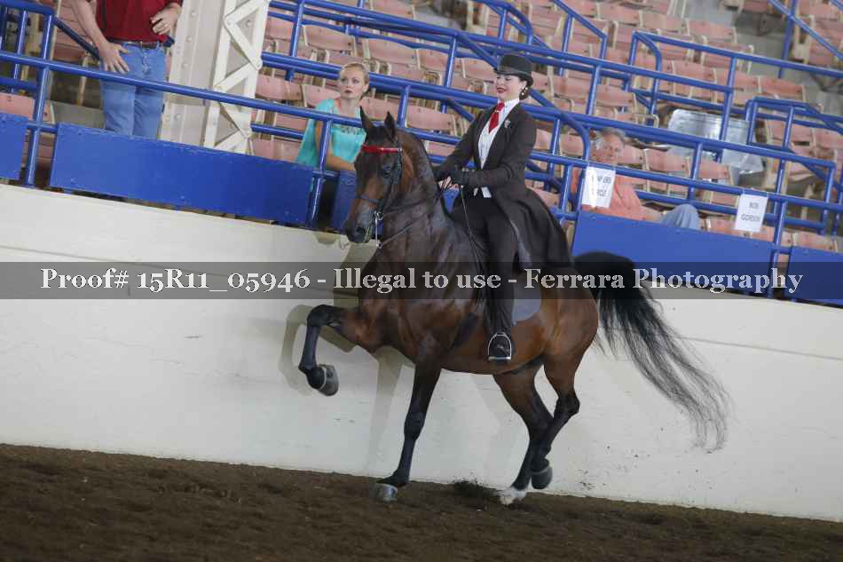 Proof 15R11_05946