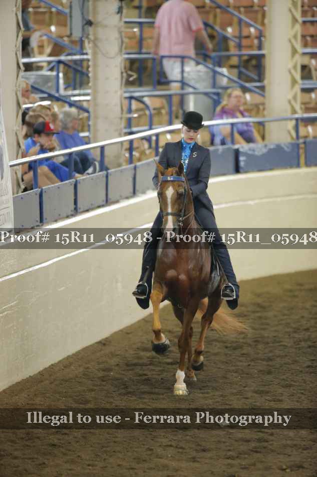 Proof 15R11_05948