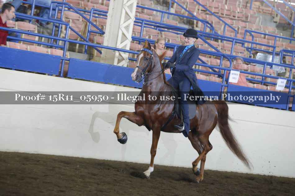 Proof 15R11_05950