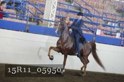 15R11_05950 proof