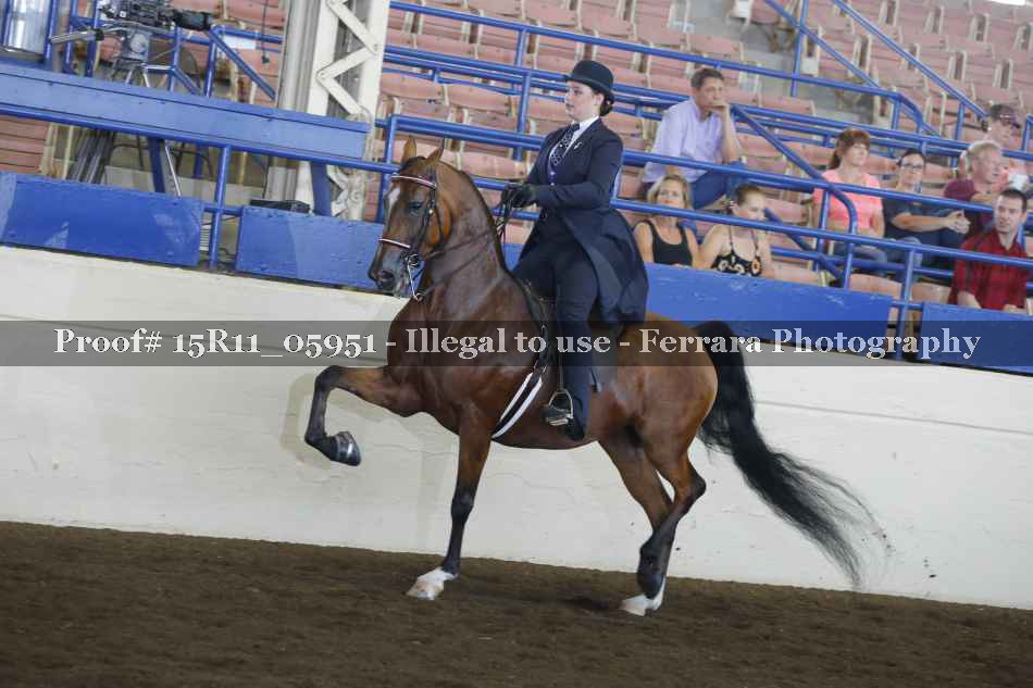 Proof 15R11_05951