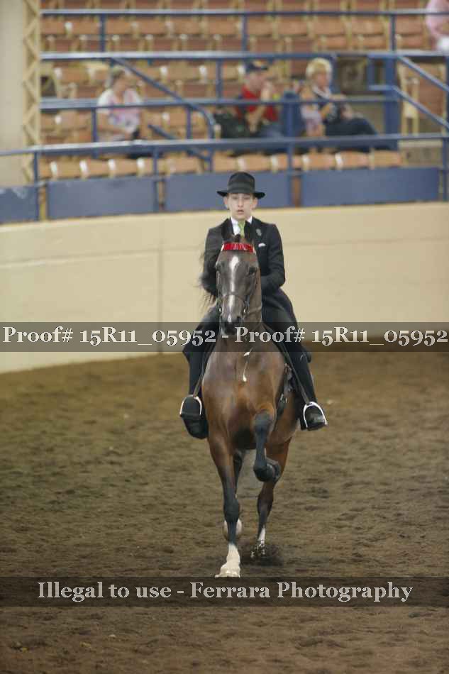 Proof 15R11_05952