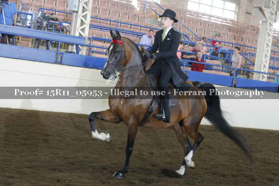 Proof 15R11_05953