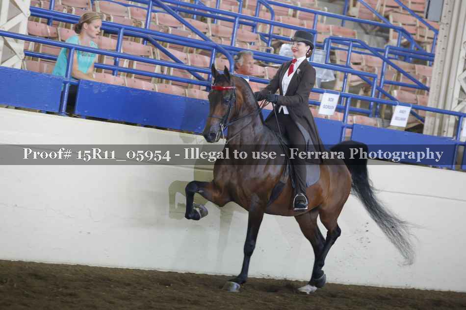 Proof 15R11_05954