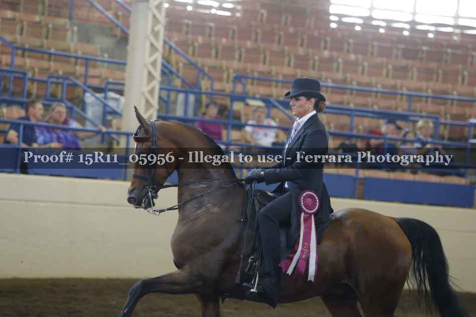 Proof 15R11_05956