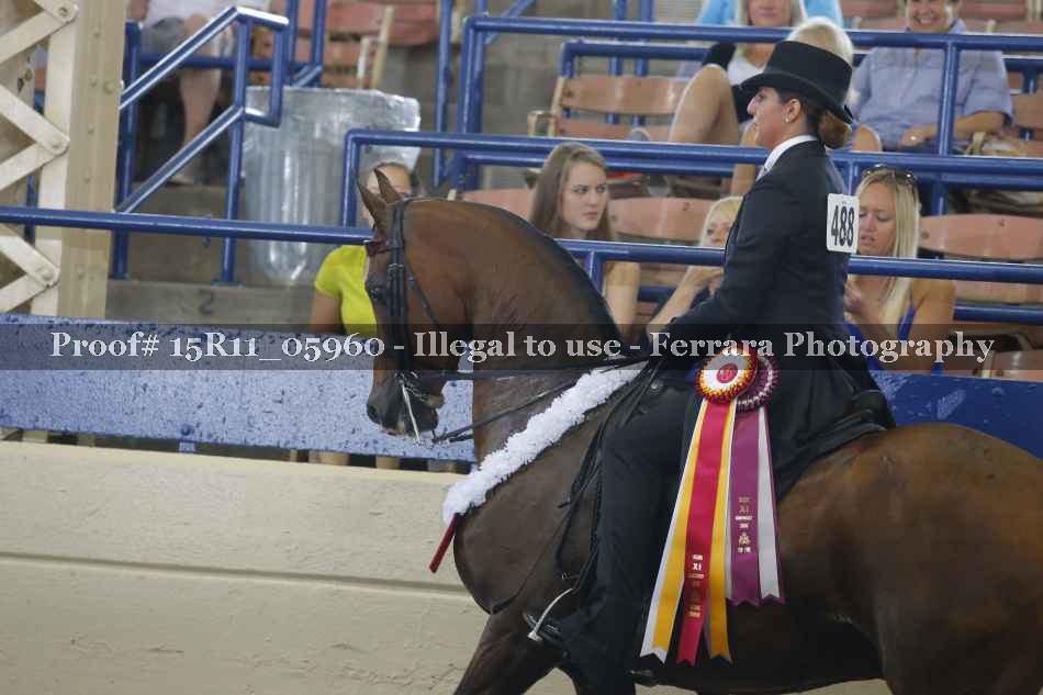 Proof 15R11_05960