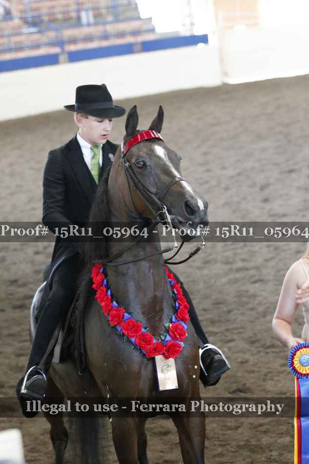 Proof 15R11_05964