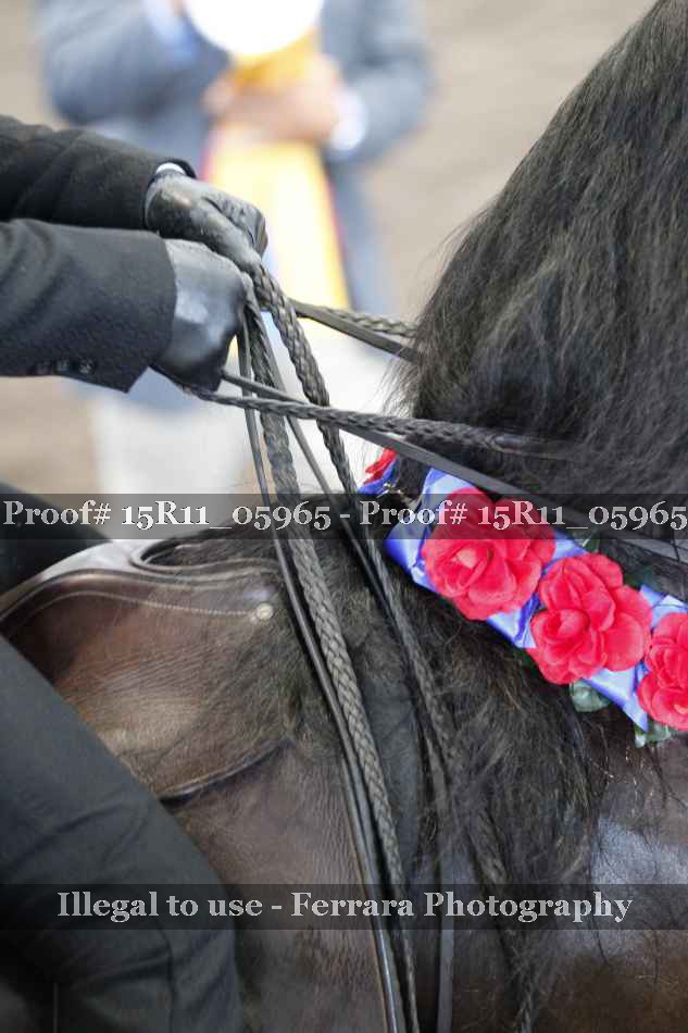 Proof 15R11_05965