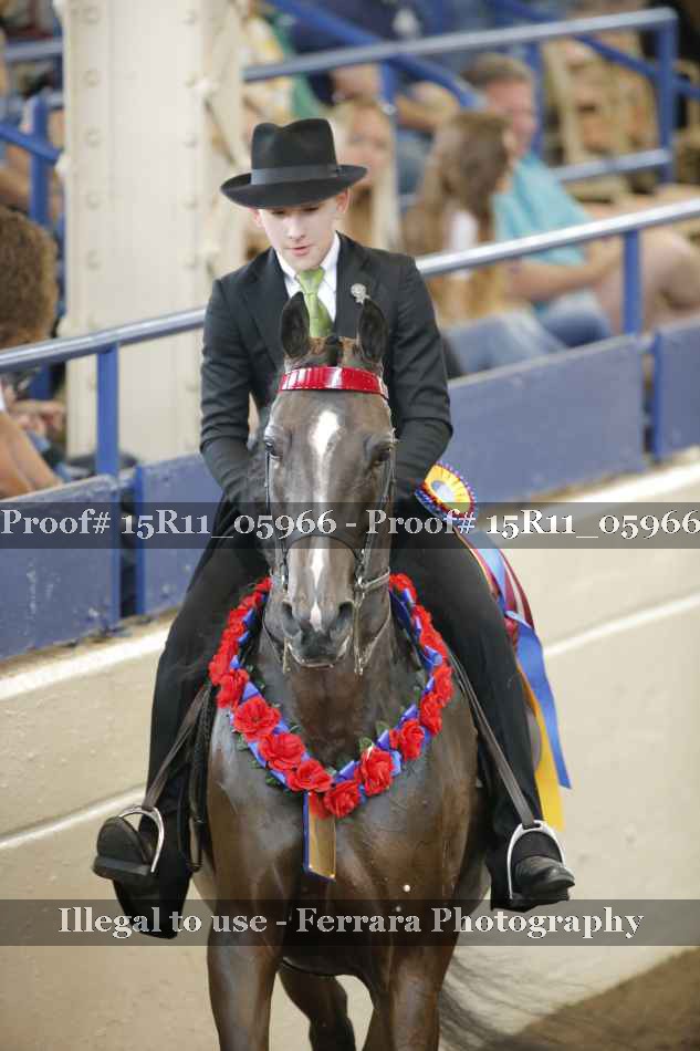 Proof 15R11_05966